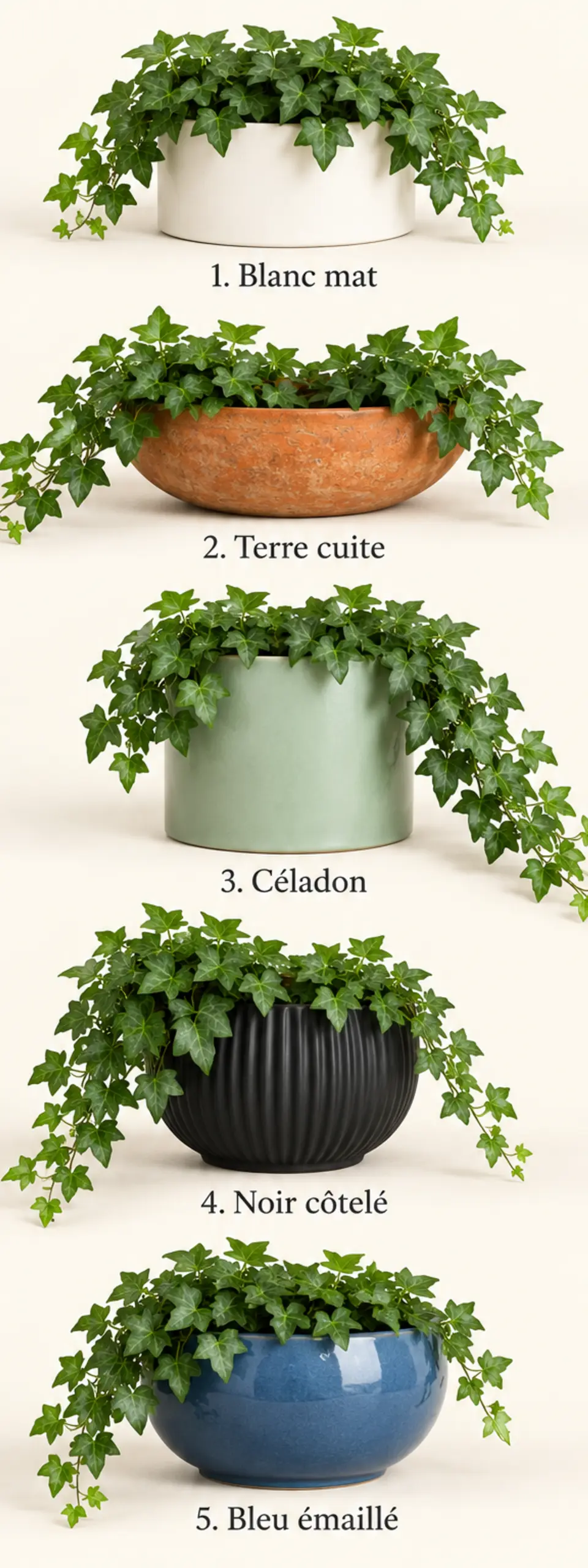 Cinq compositions de lierre artificiel avec des cache-pots blanc, terre cuite, céladon, noir côtelé et bleu émaillé.